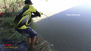 Spot mancing istimewa semua pemancing dapat ikan #tesasmancing #videomancing #fyp #mancingikan #meta #trending #mancing | Tesas Mancing