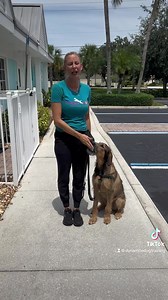 3.5K views · 79 reactions | Lucky Dog Training Club on Reels | Facebook