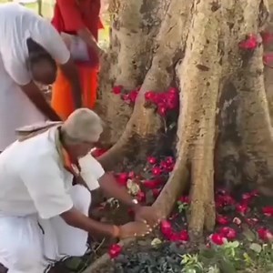 Hindus In India Are Giving Foot Massage To A Tree Saying That Tree Is Tired. Similar To How #Atheists Praise Nature/Universe/Mother Nature Instead Of Praising Allah, The Creator Of All Creation | Abu Ubayd'Allah Al-Ansari