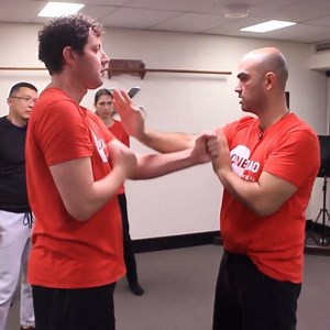 Palm strike in cross punching. When practicing this movement maintain your internal state (centre, sense, sink and see) make sure your hands are travelling down your centre, make contact with the mirroring arm and slide your contact through to the target #wingchun #martialarts | Sifu John Cogan | Facebook