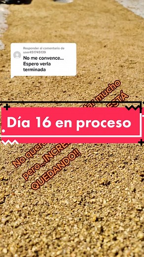 Responder a @user451745139 Como va el proceso más importante! #piscina #chicureo #emprendimiento #construccion #chile #colina #paraíso