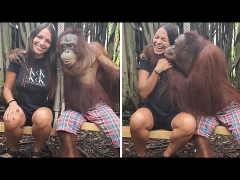 Monkey totally falls in love with woman after taking pictures together