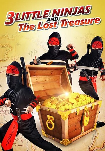 3 Little Ninjas and the Lost Treasure (1993)