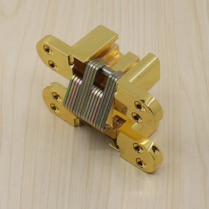 [Hot Item] Soss Door Hardware Soss Invisible Concealed Hinges