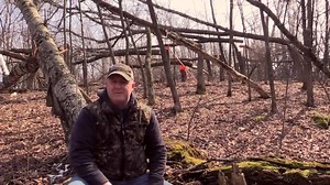 3.5K views · 145 reactions | Whitetail Hinge Cut Strategies | Whitetail Habitat Solutions, LLC | Facebook