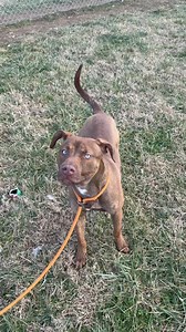 12K views · 190 reactions | Cam preferred the sun to the snow! This...