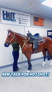 Watch as I put our recently restocked Cheetah Sunflowers (limited edition tack) and Rainbow Cheetah Saddle on Hot Shot! #hotheadstalls #horses #horsetack #tack #equine #equestrian #rodeo #barrelrace #barrelracing #western #horseriding #pony #ponies #horse | Hot Headstalls