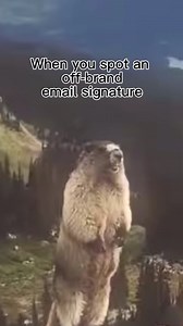 Join over 60,000 customers worldwide who trust Exclaimer to effortlessly manage their email signatures. 😍 Discover why 👉 https://bit.ly/48n0Xda #exclaimeremail | Exclaimer