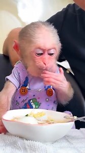 Lala helps Thuy cook simple but delicious chicken breast recipes! #Monkeylala | Lala Cute