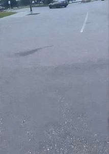 Big turbo BK2 Genesis Coupe came in for a custom tune today to get that AlphaSpeed Dealer- K-W Ontario/ AlphaSpeed gap sauce!!! Pushing 24psi boost. She’s a spicy one🌶️ 👌🏻🤟🏻😈. 🏎️Oem BK2 injectors modified to 1000cc 🏎️94 octane pump gas 🏎️Holset HY35 Big Top Mount Turbo 🏎️44mm Wastegate 🏎️Cortex Boost Controller! #alphaspeed #alphaspeedpr #alphaspeedtuned | AlphaX US