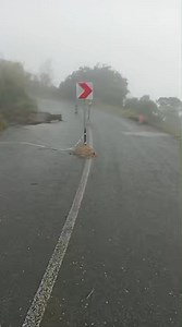 Urgent warning ⚠️ R533 Kowyn Pass is closed. Do not attempt to cross damaged section. | Graskop, Mpumalanga