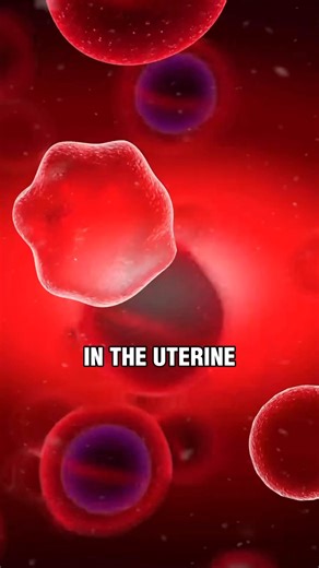 Your uterus doesn’t stretch first — it builds.Most of that critical cell growth happens in the first trimester.Miss that window, and the structure won’t be as strong later.Comment “SHER” for our free IVF book.#ivf #pregnancy #fertility #infertile #miscarriage #pregnant #doctor | Geoffrey Sher