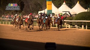 Great weekend with a crowd of 37,500 on hand Saturday to celebrate 2020 Champion Sprinter, Whitmore. Congratulations to Whitmore Stakes (G3) winner, Bob’s Edge and Essex Handicap (G3) winner, Rated R Superstar. | Oaklawn Hot Springs