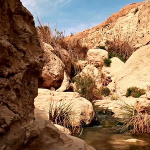 Ready to book your trip to Israel? Discover Israel with us... 🎟️ Variety of tours, packages & hotels 📍 Friendly & expert advice 🏆 TripAdvisor Certificate of Excellence | Tourist Israel