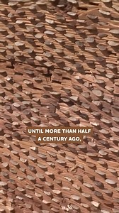 🪨 The ancient stone behind every threshing board #reels #traditions #threshing #grains #ancienthistory | Eugenio Monesma Documentaries