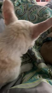 149 reactions · 23 comments | So it started out as this quivering,...