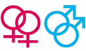 L.G.B.T. Advertising: Chasing The Pink Dollar