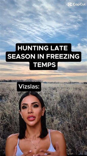 Cock Patrol | Hunting Apparel on Instagram: "Sorry Vizsla gang, I haven’t given you a hard time in a while lol #pheasanthunting #pheasant #upland #hunting #hunt #birddog #gundog #dog #yourdogsucks #jokes #vizsla"