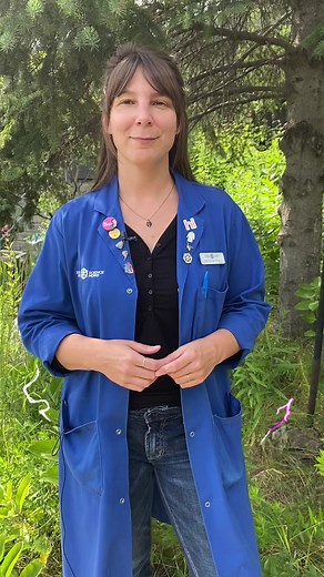 4.9K views · 36 reactions | Ever wondered why lightning strikes in a zigzag pattern? ⚡️️⚡️Find out here! | Science North & Dynamic Earth | Facebook