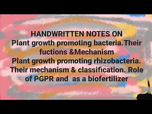 #handwritten notes on Plant growth promoting bacteria and rhizobacteia functions, mechanisms #bsc