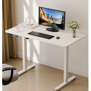 [Hot Item] Prorials Office Home Game Study School Furniture Electric Sit-Stand Desk