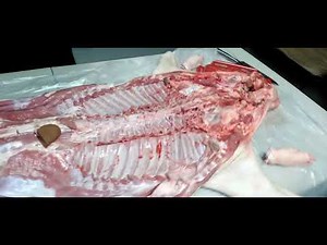 puerco asado en caja china paso a paso