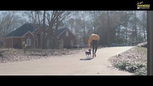 Rescue, purebred, puppy, adult, small, big...no matter what type,...