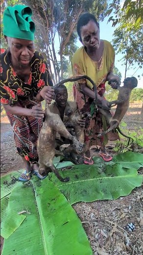 "Monkey meat: a rare delicacy in the Hadzabe way of life.