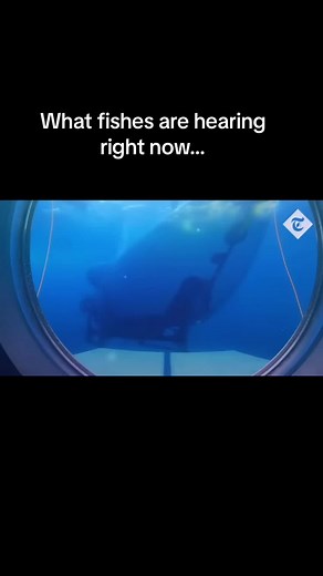 Daniel Rodriguez on TikTok