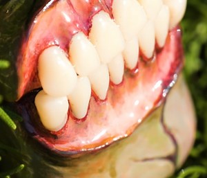 Style Up with Realistic Fossilized Teeth Headphone Cases 🎧 | Transformazing