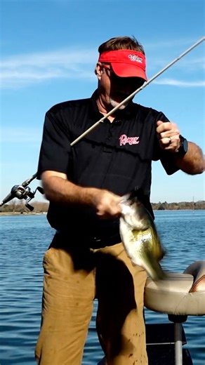 PERFECT CONDITIONS FOR A JIG When weather, wind, sunshine, and the fish set up just right...a flipping bite on a jig sure is hard to beat! #BassProShops #RangerBoats #FishGarmin #SunlineAmerica #SPRO #SPROUSA #SPROFishing #CJFlip #Fishing #BassFishing #Jig #JigFishing | Fisherman's Handbook | Facebook