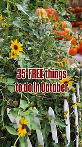 35 FREE things to do in October 🎃🍂We work so hard to find all the fun, FREE events happening across the East Valley and have a calendar just for free events!🗓️ 🎃The Great Gilbert Gourd Hunt in downtown Gilbert 🎡Celebrate Mesa fall festival 🎢Harvest Festival by Cornerstone Church 📚Little Lantern Story Time at Beyond Books in downtown Mesa 🎯Family game night at Tempe Marketplace 🍿Movies in the Park every Friday night in October 🦋Dragonfly & Butterfly Bash at Chandler Nature Center 🪭Orig