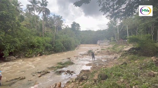 13K views · 49 reactions | LOOK: This is how fast the river flows here in Brgy. Lower Natimao-an Carmen, Cebu where a search and rescue operation was conducted for six (6) missing people. | Riza Mae Pajuay and Ma. Angela Tiana, CNU COMM Intern | Junalyn Enriquez, UP Cebu Intern #MyTVNewsUpdate #MyTVCebu #CarmenCebu #BahaCebu #Flooding | MyTV Cebu | Facebook