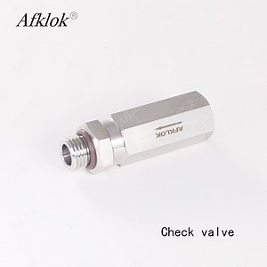 [Hot Item] Afklok 3000psi ANSI Spring Loaded SS316 Check Valve to Stop Fluid Backflow