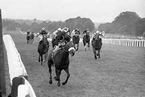 Mill Reef - Alchetron, The Free Social Encyclopedia