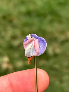 Victorian 14K Gold Sweet Pea Hat Pin: Enamel Art Nouveau Diamond - Etsy