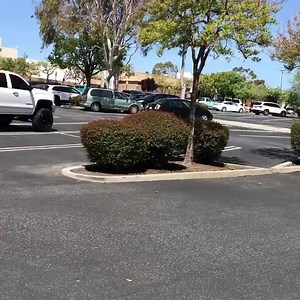 We're at Capitola Mall handing out FREE VINES till 3pm❗️Come join the fun #RedVines | Red Vines