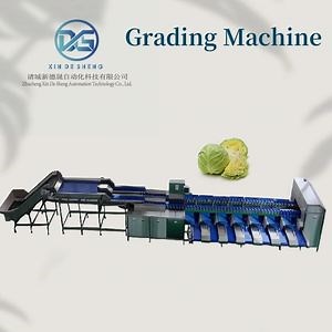 [Hot Item] Dual-Channel Tray-Type Vegetable Sorting Machine, Cabbage Grading and Selection