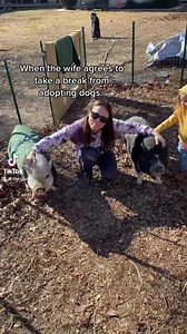 🤨🤨🤨 #pig #pigs #pets #odin #gemma #potbelly #wifey #wife #married #couples #marriedlife | Christopher Cluff