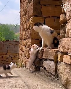 Everything you need to see today! 😍❤️ | The Dream Lab