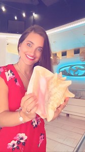 🐚 Shell-o? Is it me you’re looking for? 🐚 Our new queen Conch jewelry is calling your name- and trust us, you want to answer! 🌊💕 • • • #oceansoul #marcoisland #swfl #oceaninspiredjewelry #queenconch #seashelljewelry #beachcombers #mermaids #beachbling #heart #valentines #handcrafted #seashells | Ocean Soul