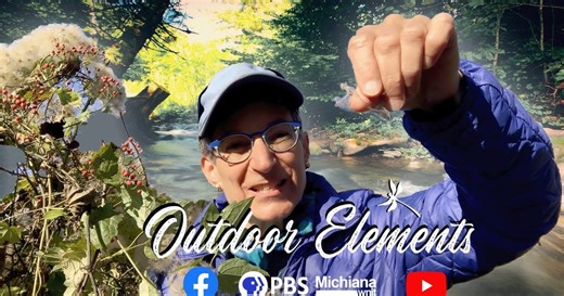 Outdoor Elements:Virgin’s Bower