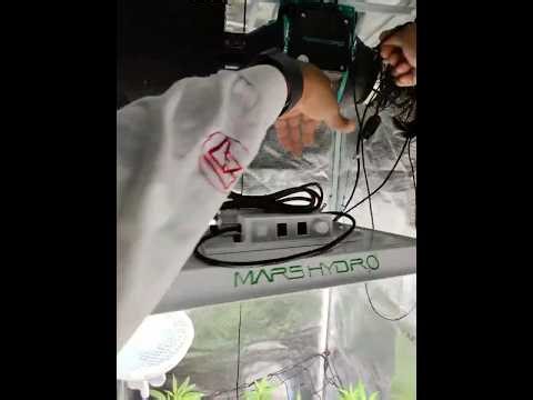 POV: Inside A Grow Tent 10/14/25 #metaglasses
