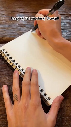 6.4K views · 39 reactions | This simple rig is a great option for those targeting bluegill. Bluegill are a popular freshwater fish species that are perfect for beginners and avid anglers alike! #bluegillfishing #bluegill #howtocatch | Take Me Fishing | Facebook