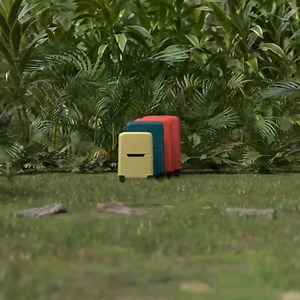 Escolha a sua nova mala de verão e diga-nos onde quer plantar uma árvore. Explore as novas cores Magnum Eco: Amarelo Pastel, Laranja Brilhante, Gerânio Vermelho e Azul Petróleo. #MySamsonite #OneTreePlanted | Samsonite | Facebook