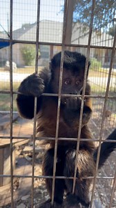 90K views · 3.5K reactions | Blue heard me say the word bugs and did...