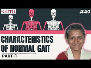 #40 Characteristics of Normal Gait | Part I | Mechanics of Human Movement