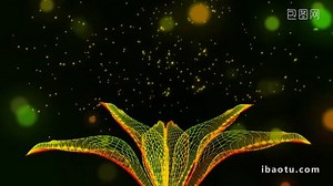 Dreamy Style Particle Lines Show Flowers Blooming Beautiful Wedding Background Video MP4 Template Free Download - Pikbest