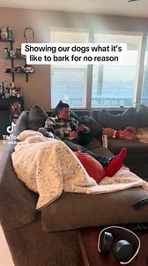 1.2K views · 29 reactions | I am so doing this! | Bartow Discussions | Facebook