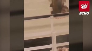 Prison inmates 'break out' at HMP Winchester